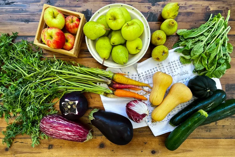 Harvest Shares